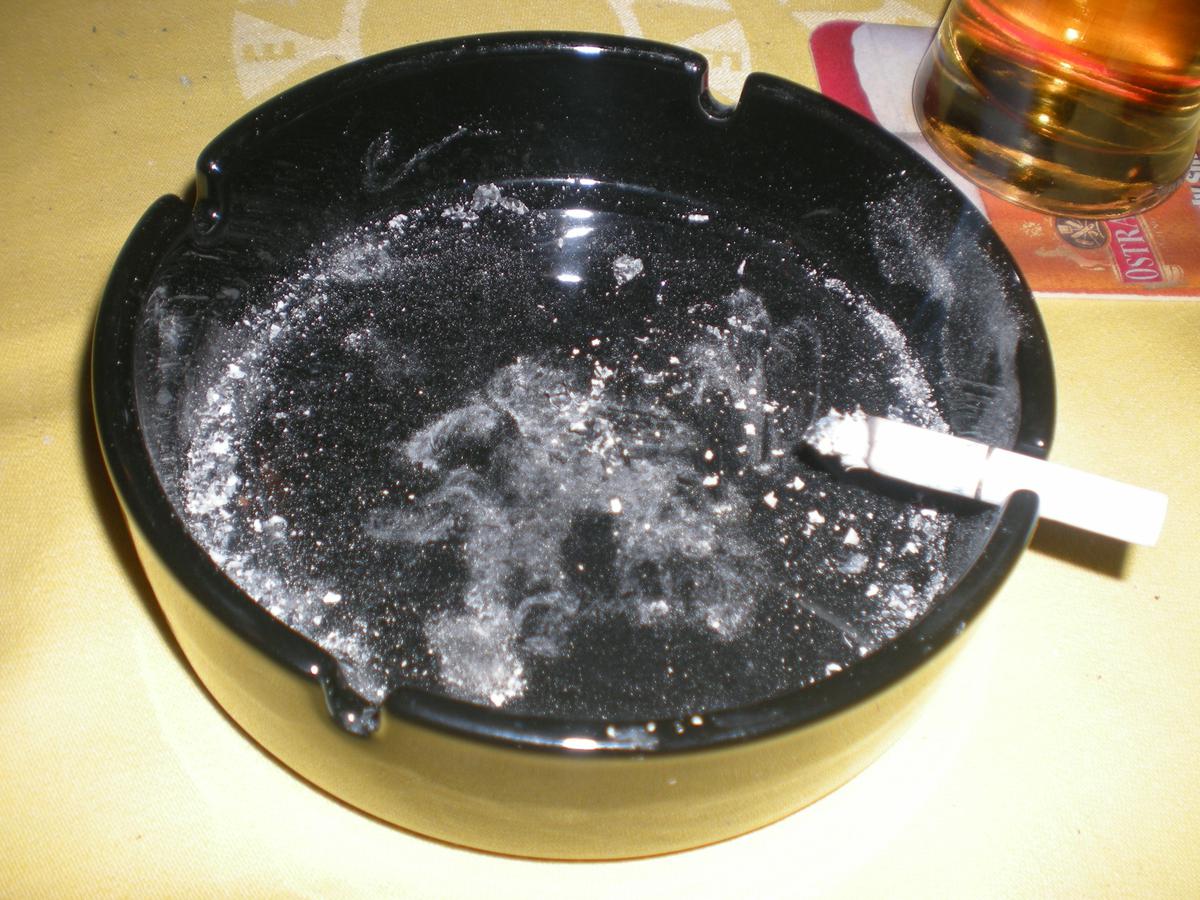 dscn8379