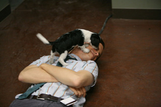 60655_matthew_gray_gubler-puppy-16-